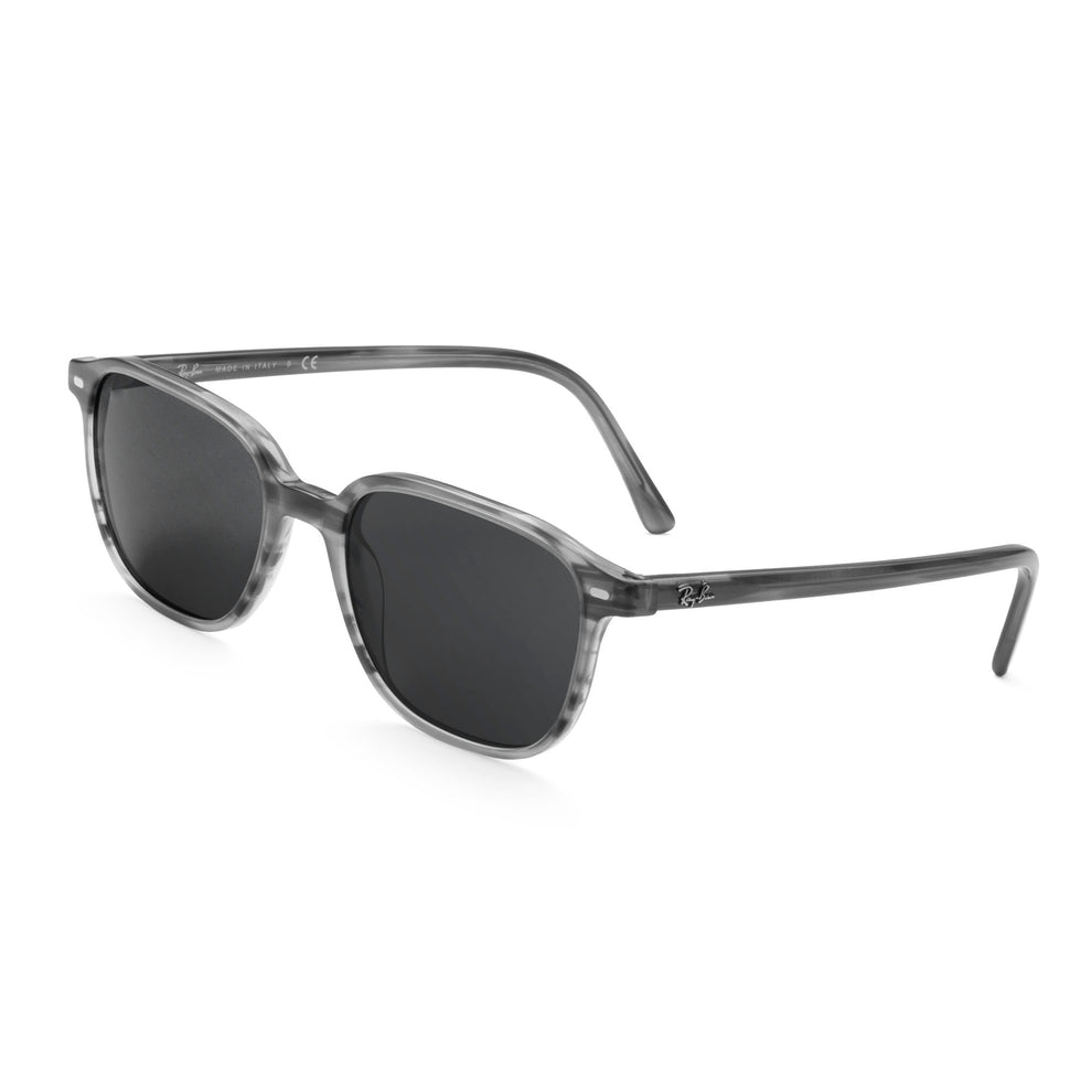 confirm you get the right lenses for the Ray-Ban Leonard RB2193 51mm