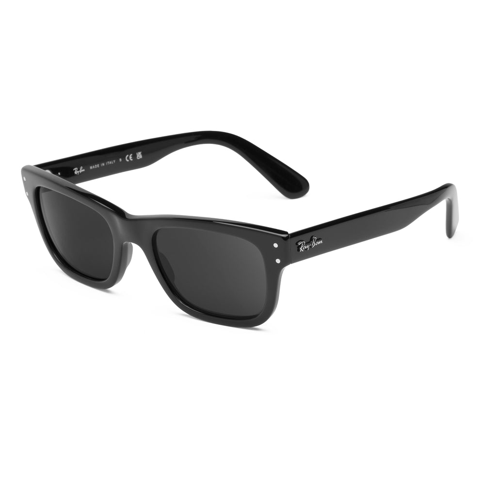 confirm you get the right lenses for the Ray-Ban Mr. Burbank RB2283 52mm