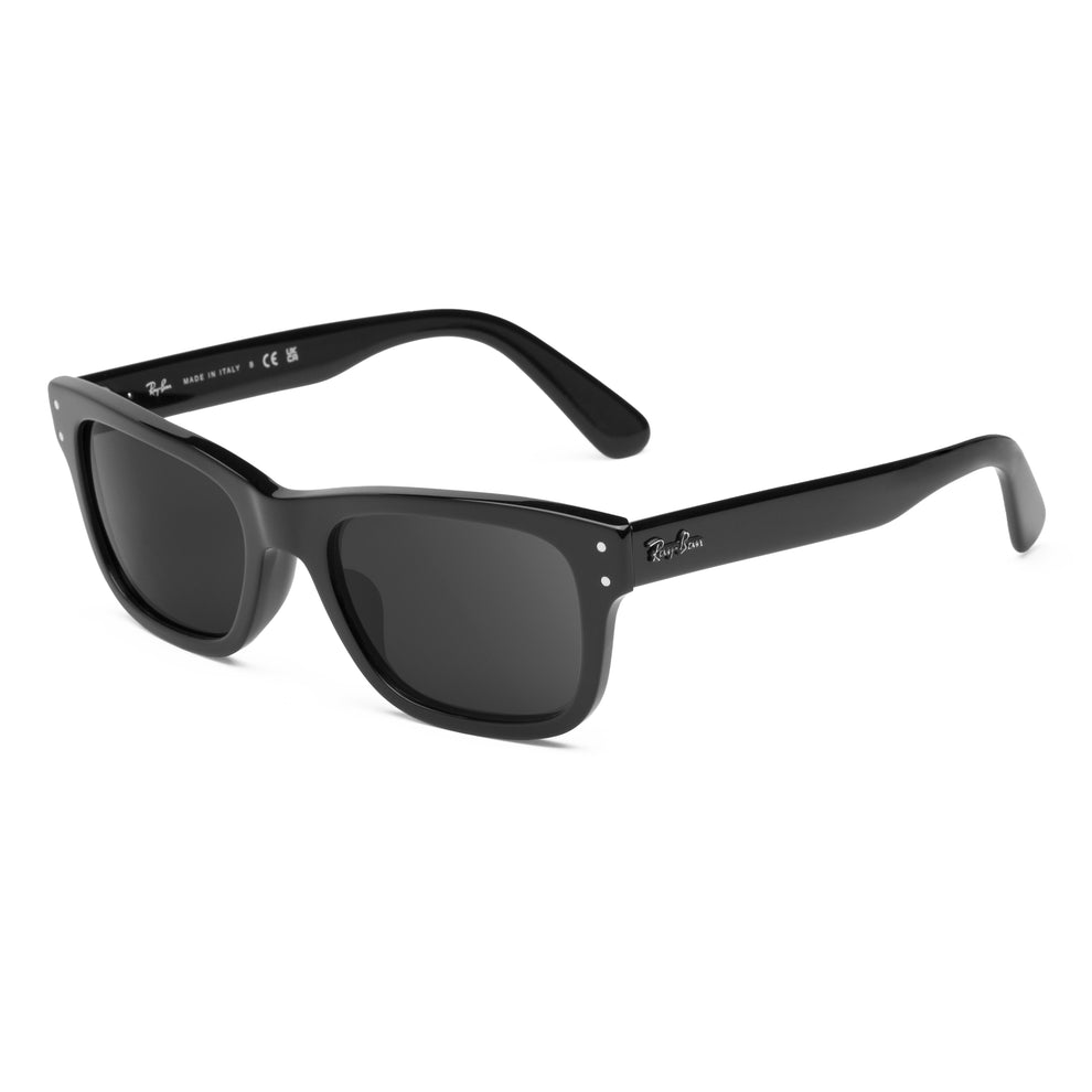 confirm you get the right lenses for the Ray-Ban Mr. Burbank RB2283 55mm