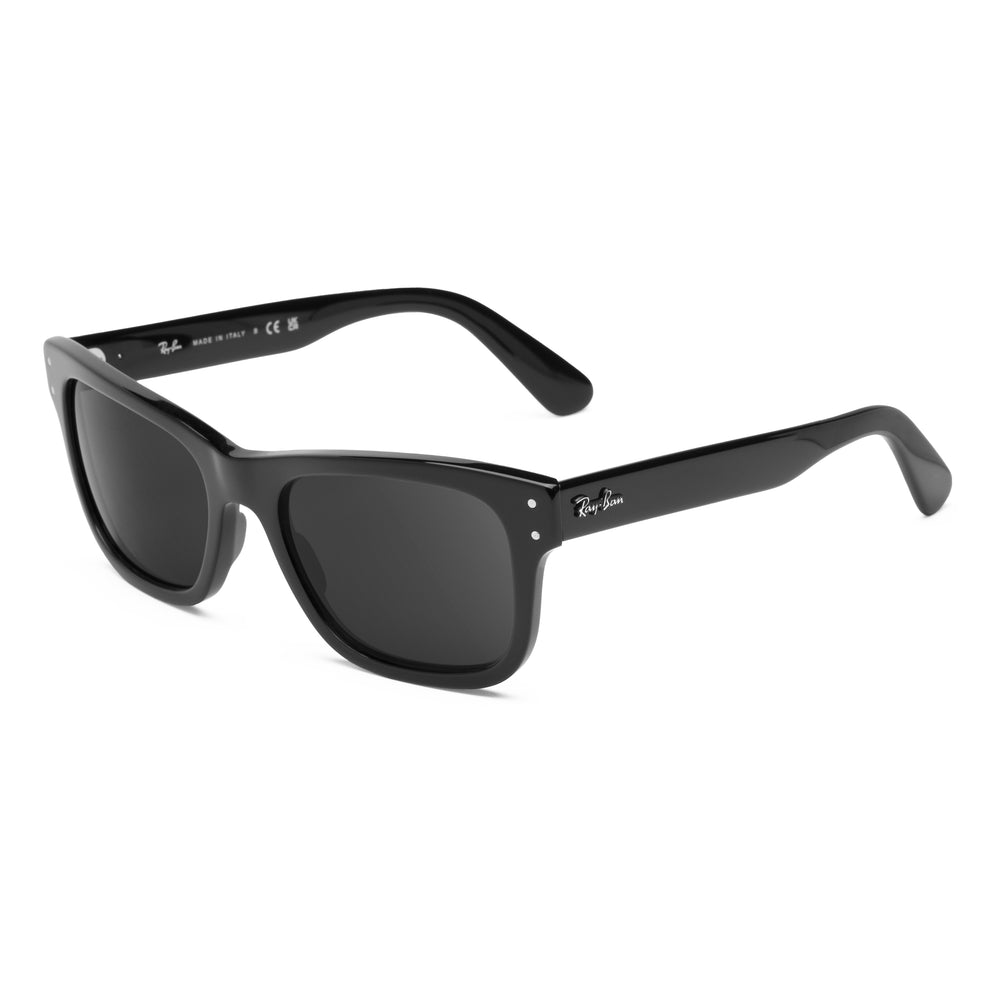 confirm you get the right lenses for the Ray-Ban Mr. Burbank RB2283 58mm