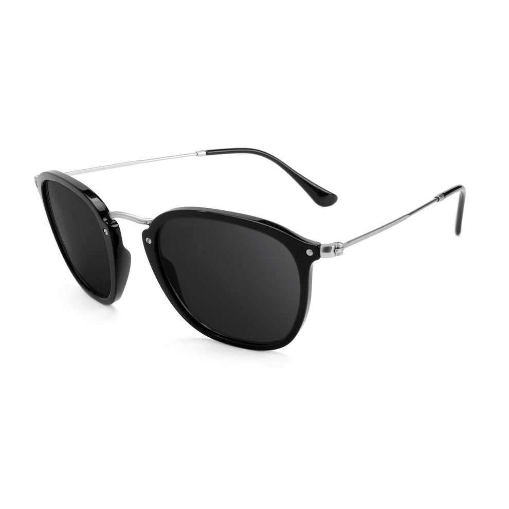 confirm you get the right lenses for the Ray-Ban RB2448 51mm