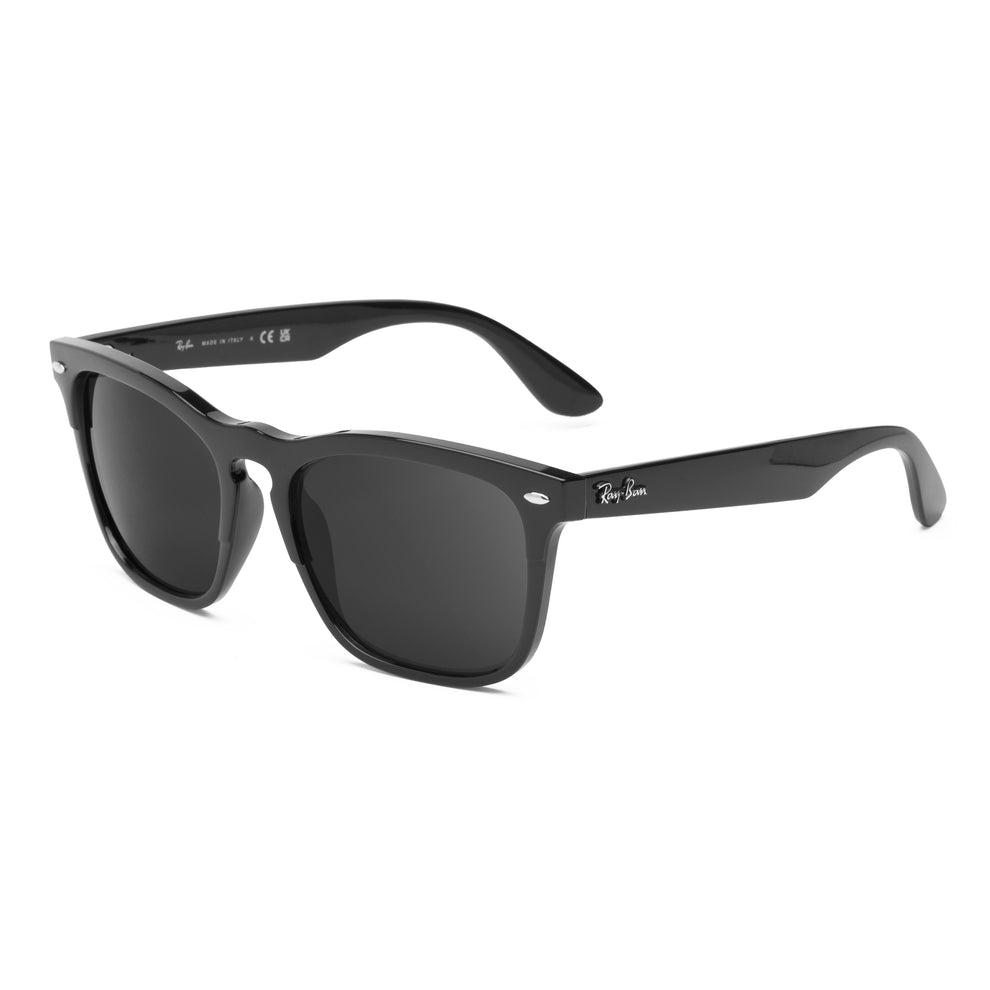 confirm you get the right lenses for the Ray-Ban Steve RB4487 54mm