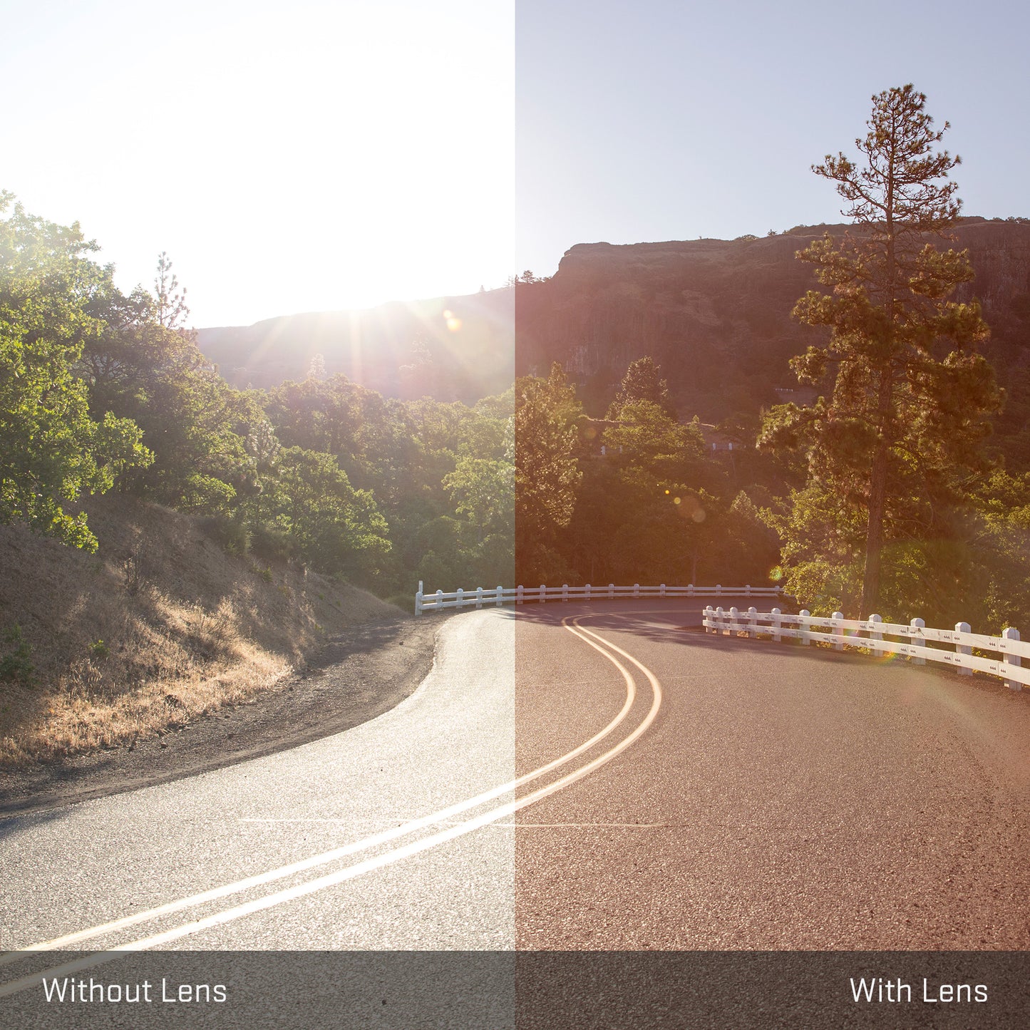 view tint looking through Polarized Emerald Green replacement lenses