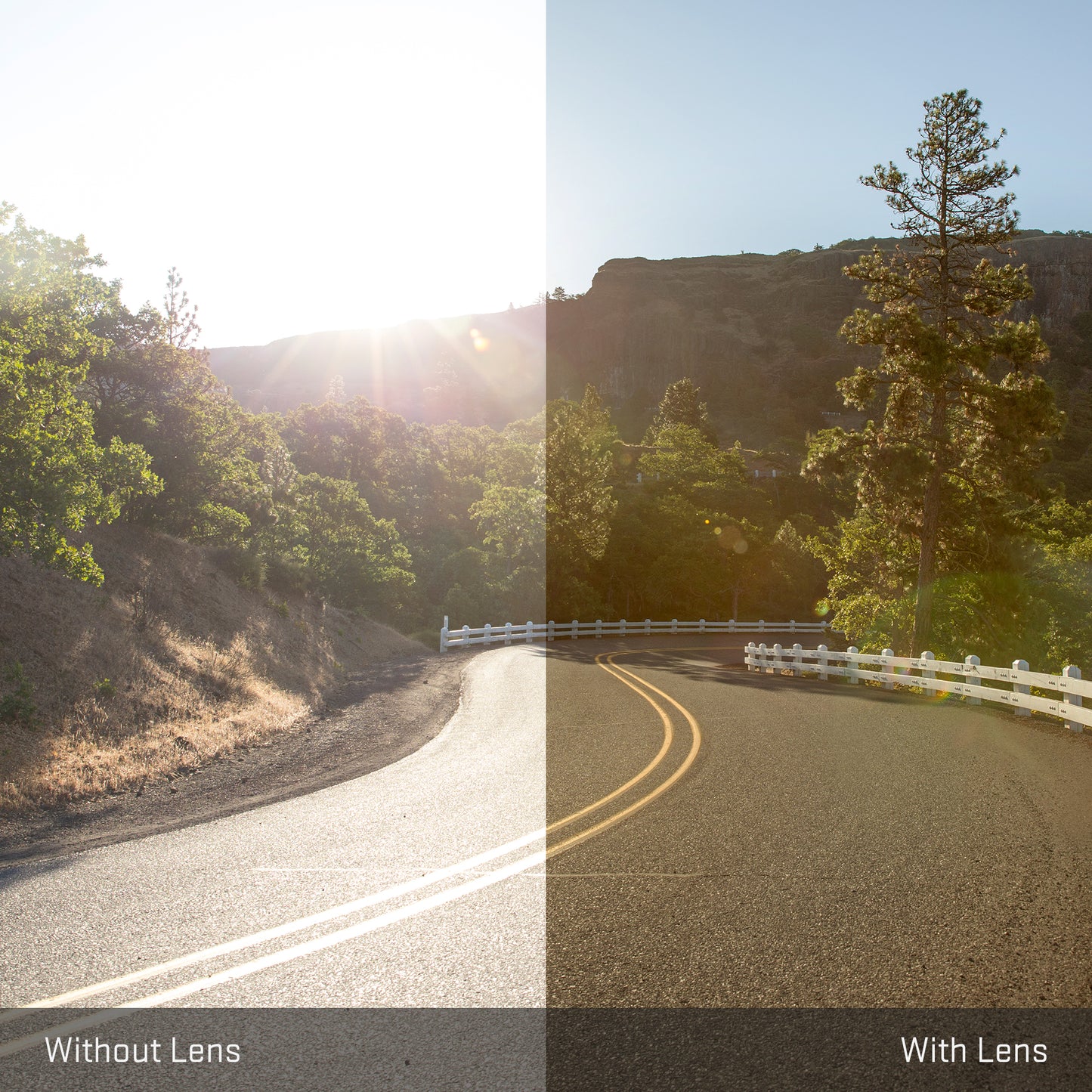 view tint looking through Polarized Rose Gold replacement lenses